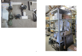 Isabel Bredenbröker