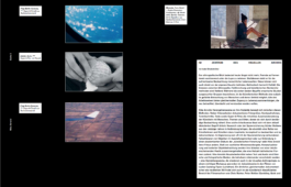 Isabel Bredenbröker