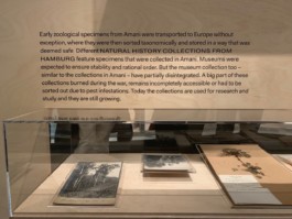 Isabel Bredenbröker