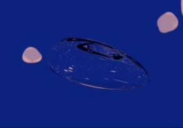 Isabel Bredenbröker