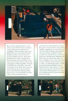 Isabel Bredenbröker