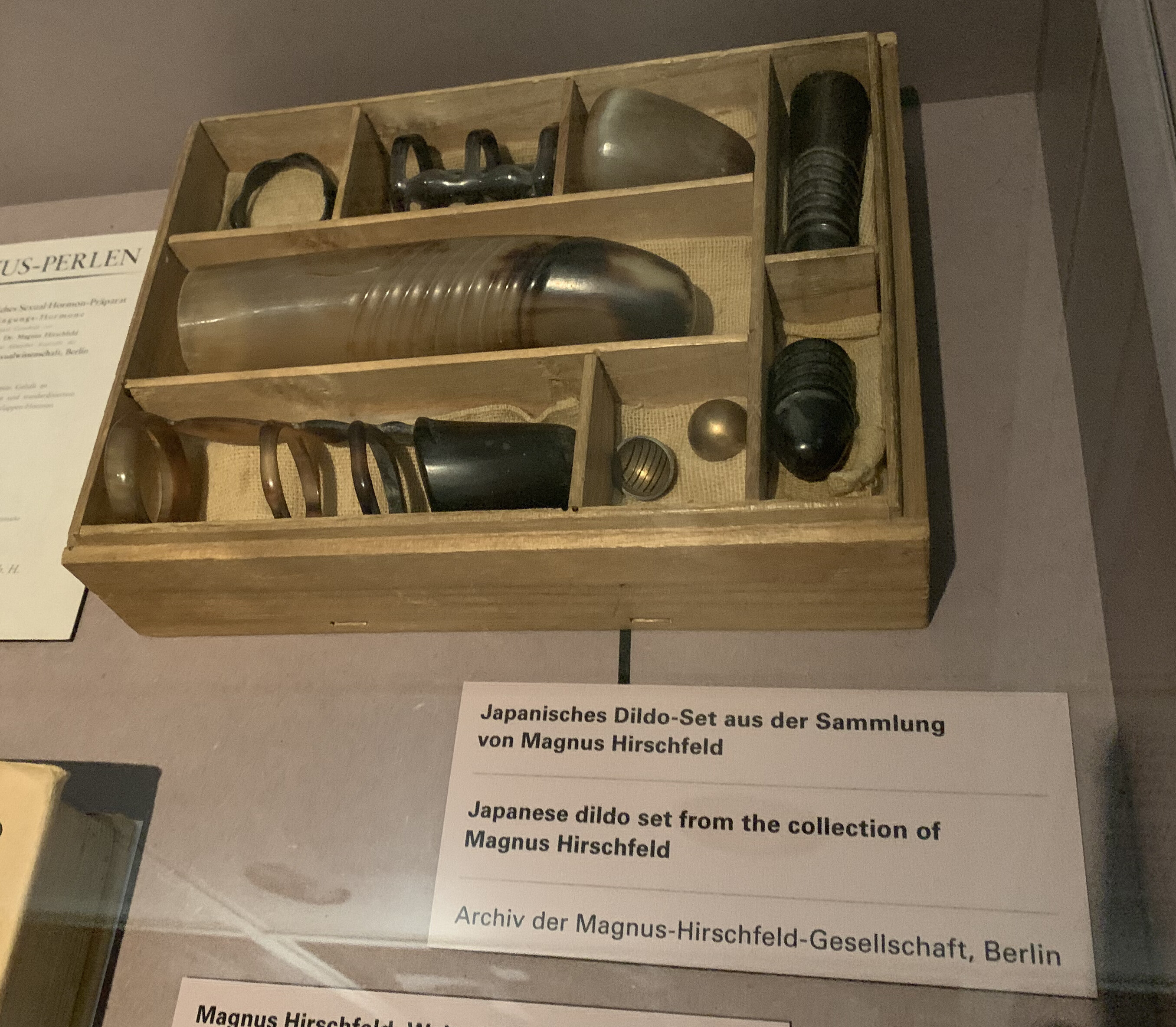 Isabel Bredenbröker