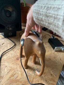 Isabel Bredenbröker